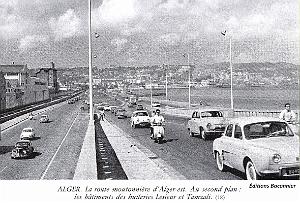 181- Alger - route moutonniere